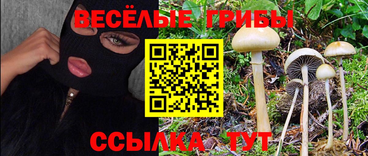 Псилоцибиновые грибы Cubensis  Вход с VPN  продажа наркотиков  Воскресенск 